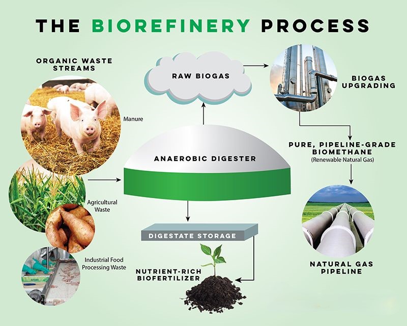 Biorefinery Process